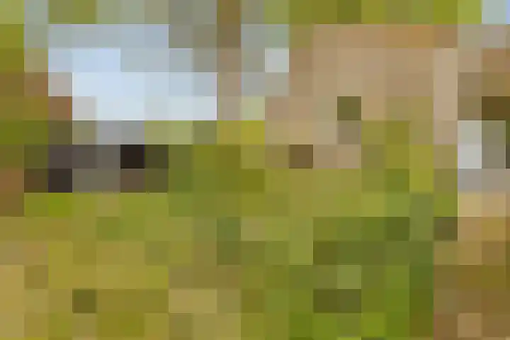 Parallelweg 59 Glimmen thumbnail 34