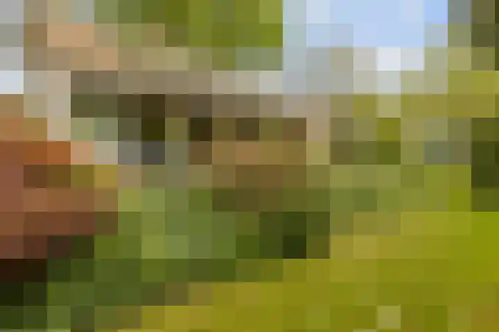 Parallelweg 59 Glimmen thumbnail 35
