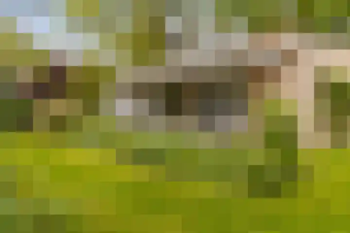 Parallelweg 59 Glimmen thumbnail 36