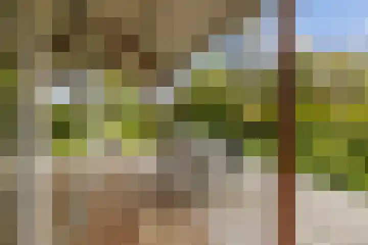 Parallelweg 59 Glimmen thumbnail 37