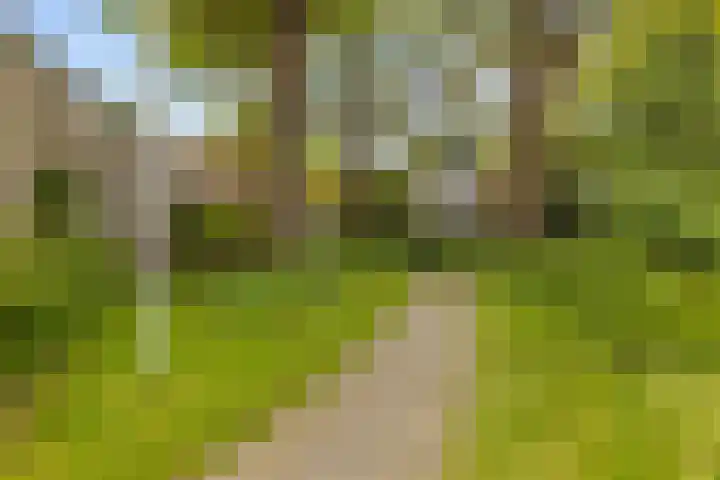 Parallelweg 59 Glimmen thumbnail 38