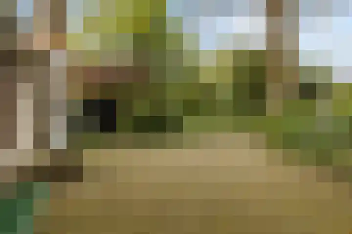 Parallelweg 59 Glimmen thumbnail 39