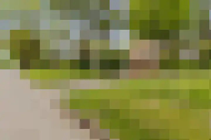 Parallelweg 59 Glimmen thumbnail 4