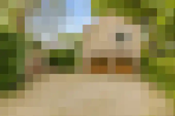 Parallelweg 59 Glimmen thumbnail 40