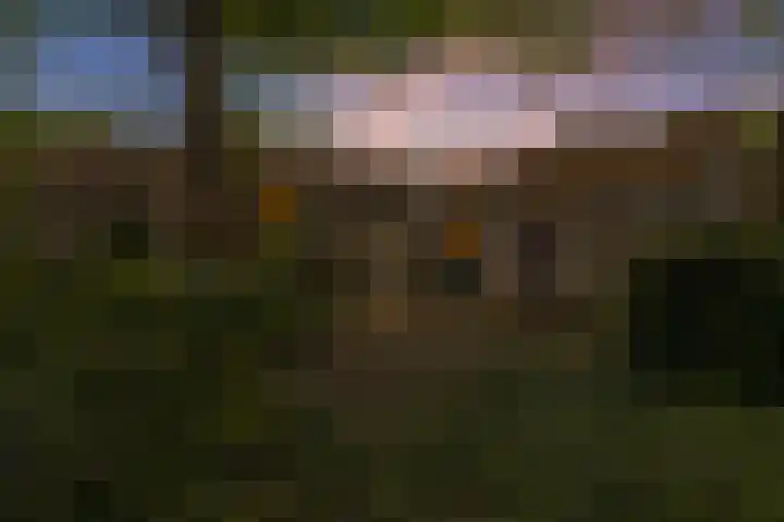Parallelweg 59 Glimmen thumbnail 41
