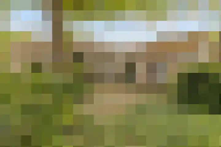 Parallelweg 59 Glimmen thumbnail 46