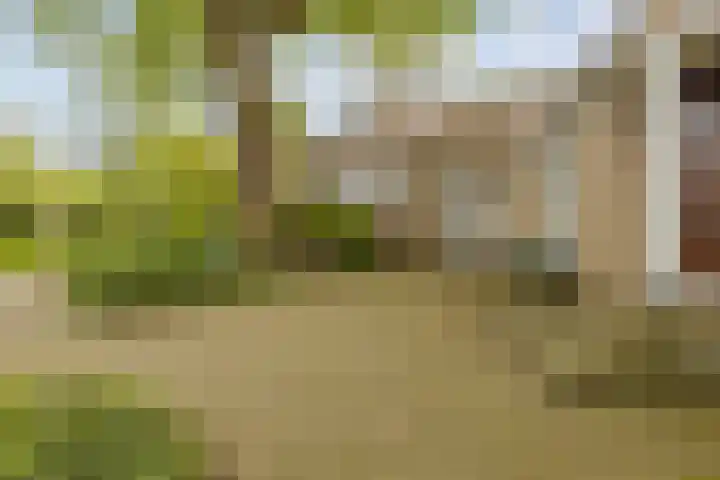 Parallelweg 59 Glimmen thumbnail 6