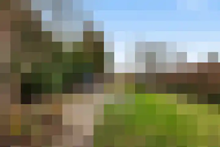 Parallelweg 61 Hardinxveld-Giessendam thumbnail 30