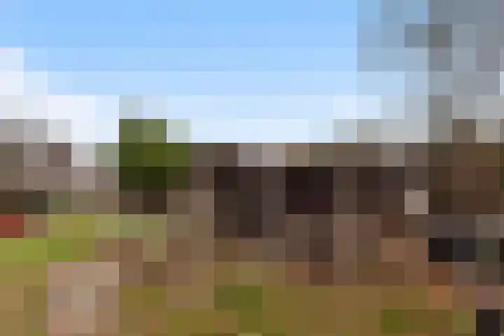Parallelweg 61 Hardinxveld-Giessendam thumbnail 31