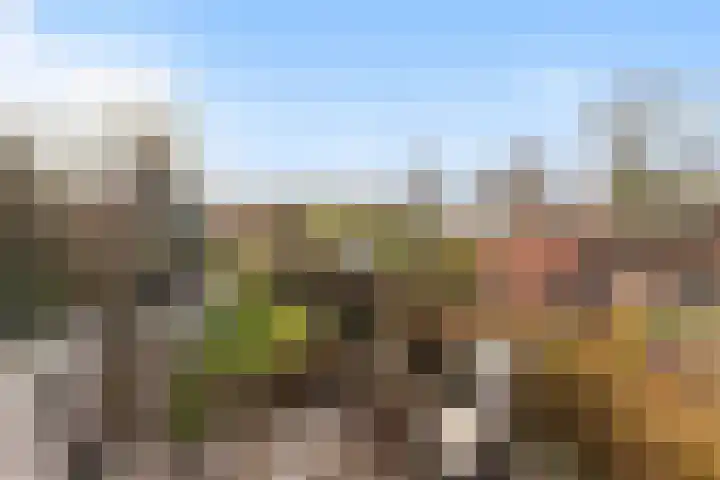 Parallelweg 61 Hardinxveld-Giessendam thumbnail 33