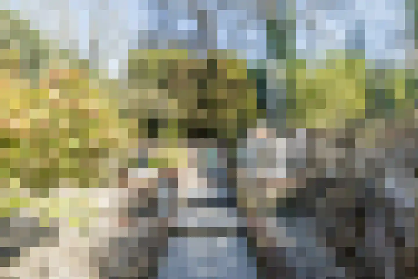 Parallelweg 69 Valkenburg thumbnail 33