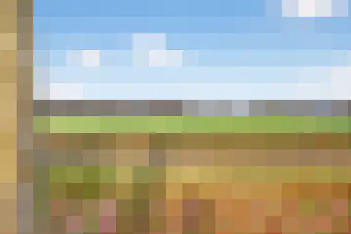 Parallelweg 7 Bergentheim thumbnail 37