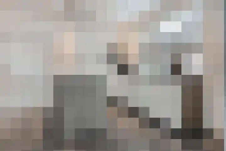 Parallelweg 7 Bergentheim thumbnail 7