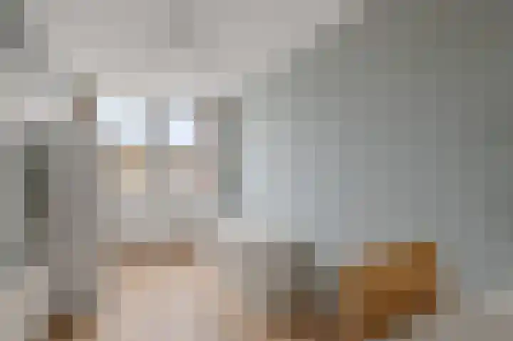 Parallelweg 7 Hillegom thumbnail 17