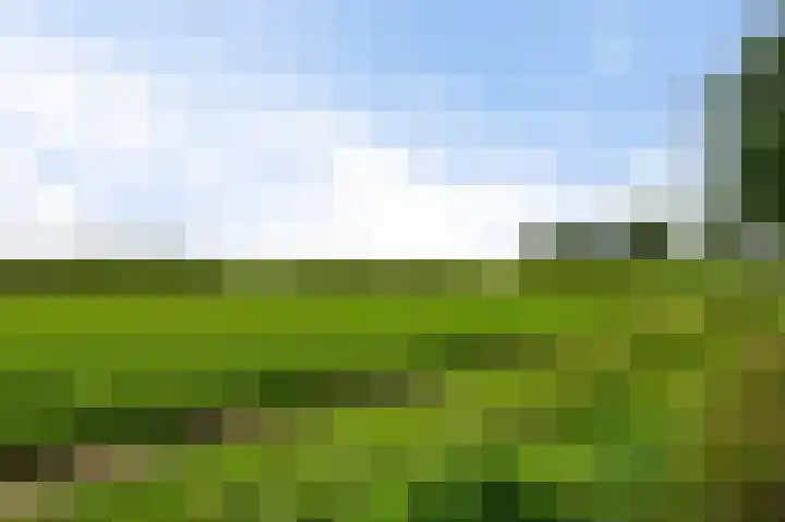 Parallelweg 7 Hillegom thumbnail 28