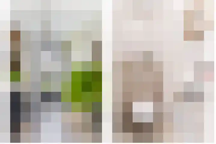 Parallelweg 8 Schagen thumbnail 10