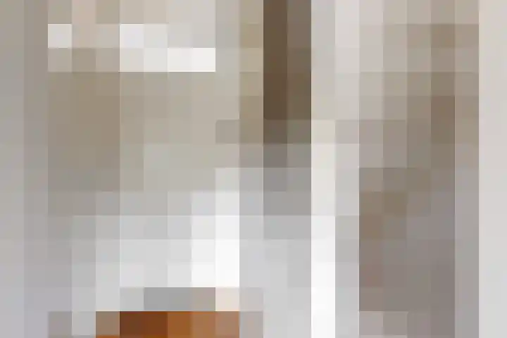 Parallelweg 8 Schagen foto 3