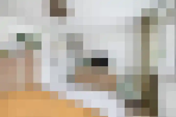 Parallelweg 8 Schagen thumbnail 36