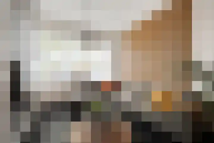 Parallelweg 81 Den Helder thumbnail 5