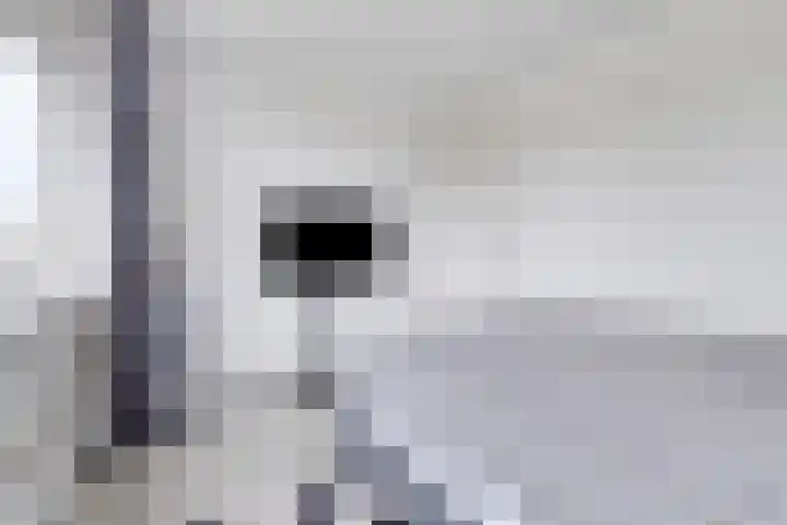 Parallelweg 87 Den Helder thumbnail 15