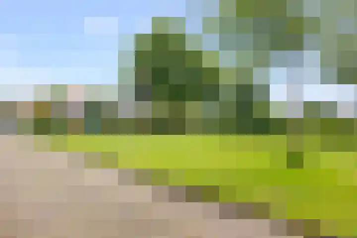 Parallelweg 87 Den Helder thumbnail 23
