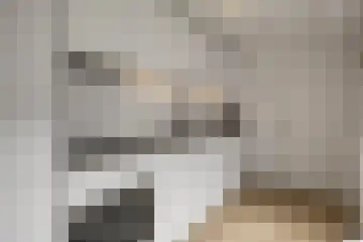 Parallelweg 87 Den Helder thumbnail 6