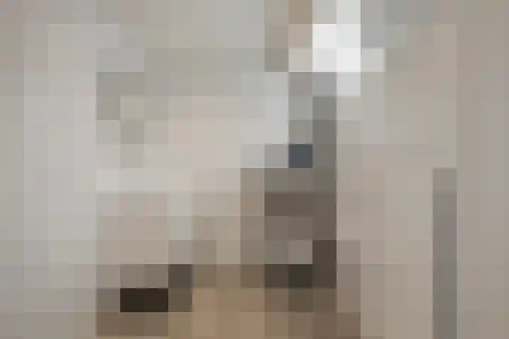 Parallelweg 87 Den Helder thumbnail 8