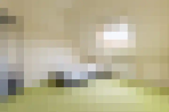 Parallelweg 9 Aalten thumbnail 21