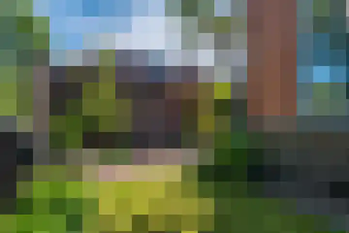 Parallelweg 9 d Sneek thumbnail 10
