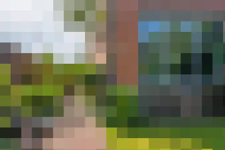 Parallelweg 9 d Sneek thumbnail 11
