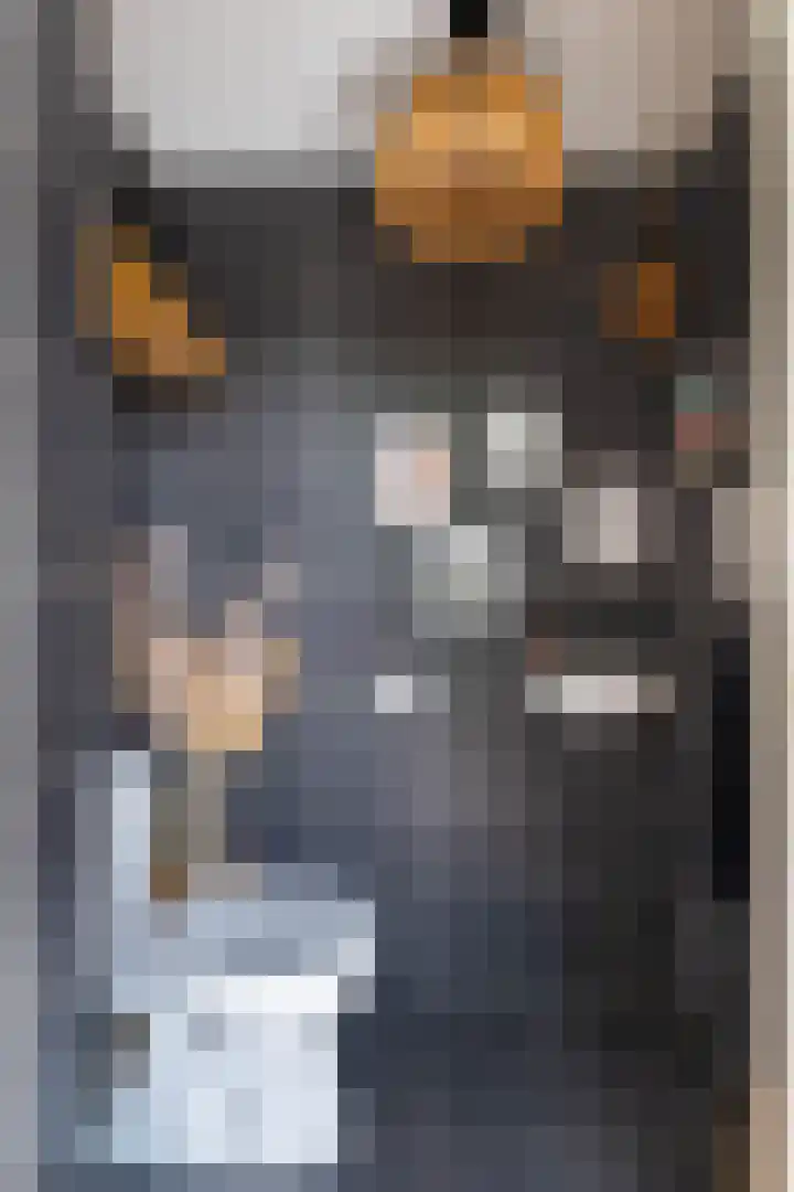 Parallelweg 9 d Sneek thumbnail 17