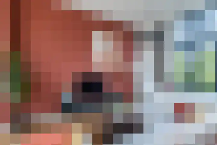 Parallelweg 9 d Sneek thumbnail 21
