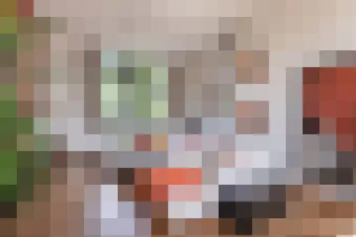 Parallelweg 9 d Sneek thumbnail 28