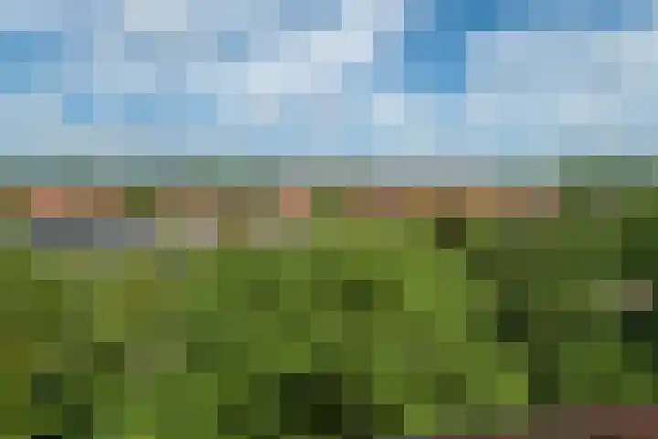 Parallelweg 9 d Sneek thumbnail 45