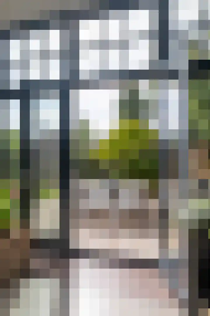 Parallelweg 9 d Sneek thumbnail 58