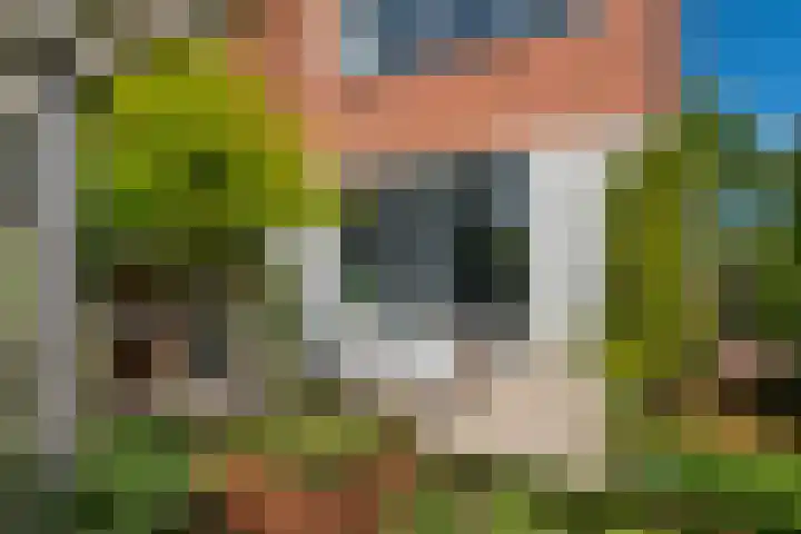 Parallelweg 9 d Sneek thumbnail 60