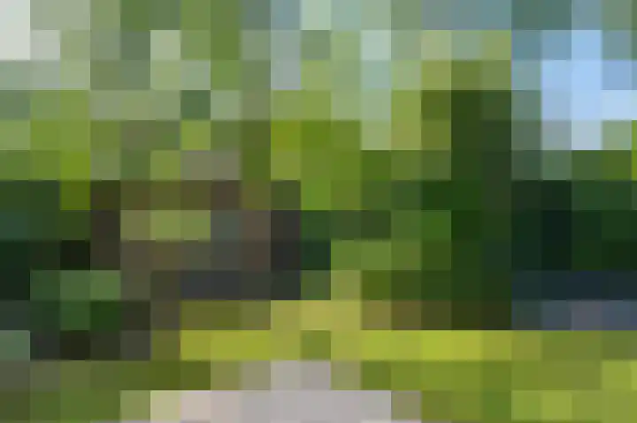Parallelweg 9 d Sneek thumbnail 61