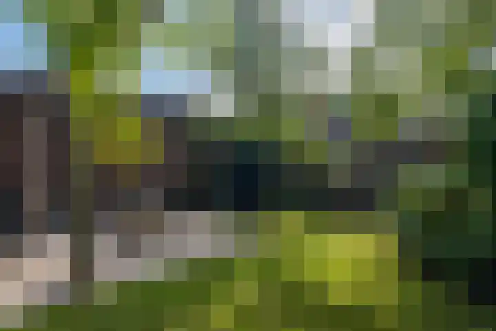 Parallelweg 9 d Sneek thumbnail 65