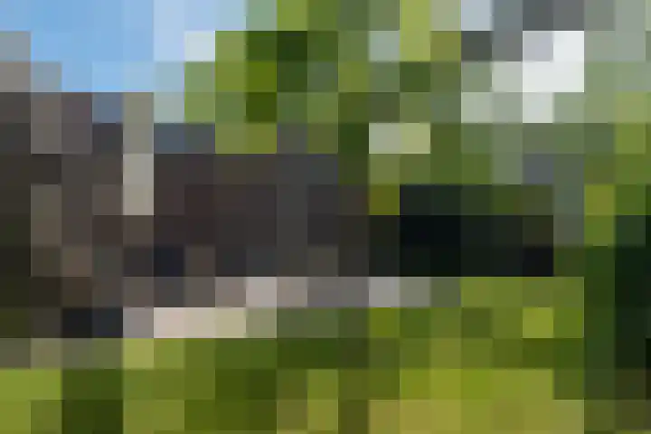 Parallelweg 9 d Sneek thumbnail 66