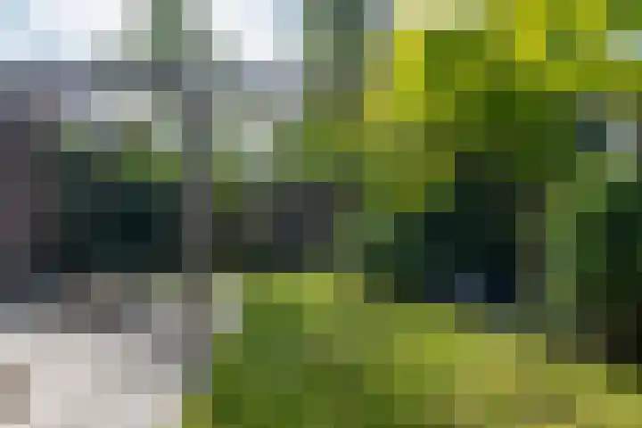 Parallelweg 9 d Sneek thumbnail 67