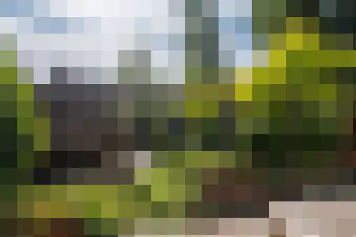 Parallelweg 9 d Sneek thumbnail 68