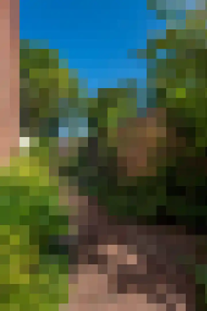 Parallelweg 9 d Sneek thumbnail 7