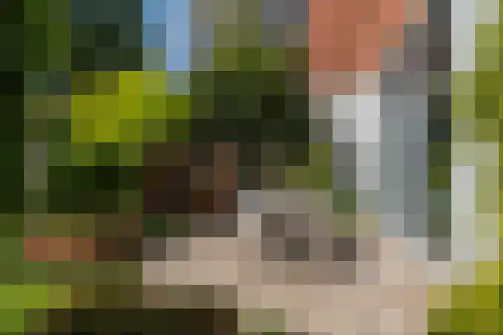Parallelweg 9 d Sneek thumbnail 70