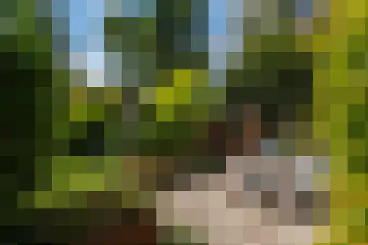 Parallelweg 9 d Sneek thumbnail 71