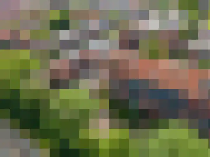 Parallelweg 9 d Sneek thumbnail 76