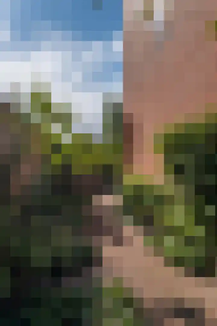 Parallelweg 9 d Sneek thumbnail 9