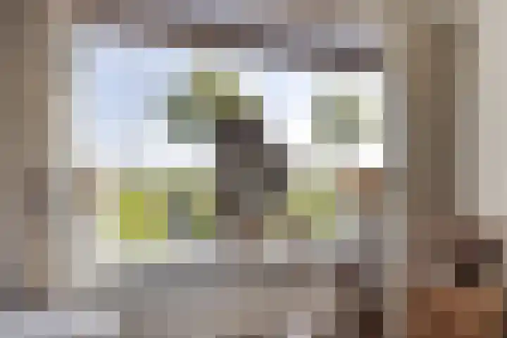 Parallelweg 9 Sint-Maartensdijk thumbnail 13