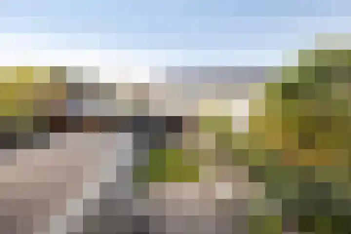Parallelweg 9 Sint-Maartensdijk thumbnail 24
