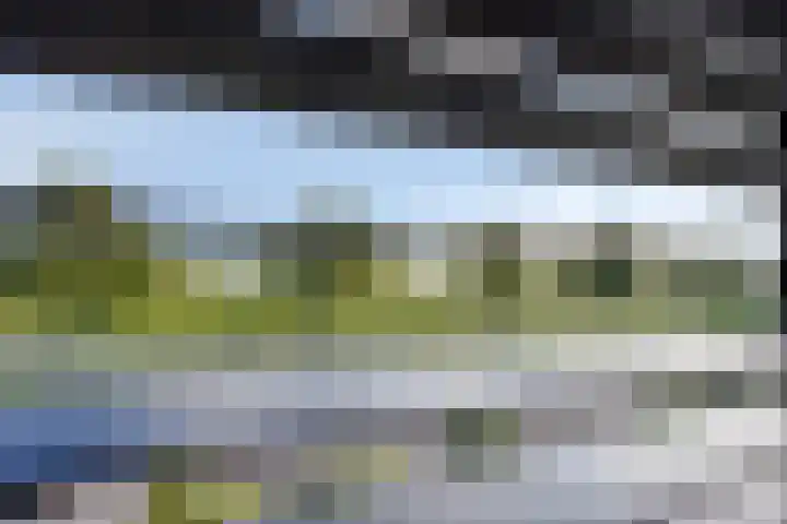 Parallelweg 9 Sint-Maartensdijk thumbnail 30