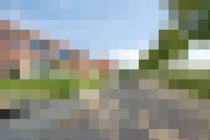 Parallelweg 9 Sint-Maartensdijk thumbnail 43